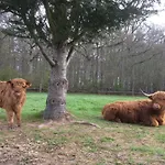 Rouge Maison Bois-Normand-près-Lyre