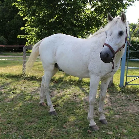 Rouge Maison Pensionat Bois-Normand-près-Lyre