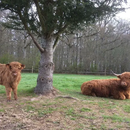 Rouge Maison Bois-Normand-près-Lyre
